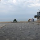 연곡해변 솔향기 캠핑장 티스토리