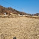 여주측량토목설계사무소 이미지