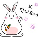 초록마을대구담티역점
