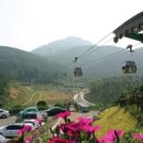 뉴비젼콘도 이미지