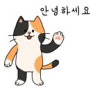 서초M동물의료센터 이미지