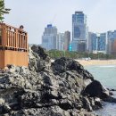 부산(해운대 모래축제,,동백섬)25,05,18(신카니발)처2 이미지