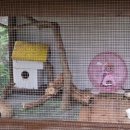 색채의 숲 이미지