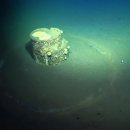 the Fitness LAB 이미지