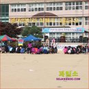 ﻿[ 과일소 ] 용인여행 " 구성초등학교체육대회 " [ 과일소장수 ] 이미지