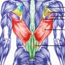 휴드림휘트니스 이미지