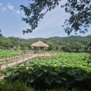 골정지 중도일보