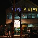 청정오리떼 이미지