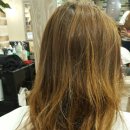 더블유(W)헤어 이미지