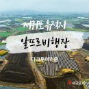 제주 모슬포 알뜨르 비행장 일제 지하벙커 | 알뜨르비행장 제주 서귀포 유적지 다크투어리즘