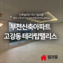 테라탑펠리스Ⅱ 네이버블로그