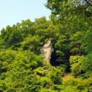 우서방 인공수정소 | 제주 천왕사