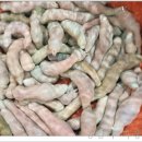 기장월전장어구이 이미지