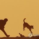 황금축산 이미지