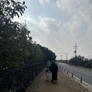 카멜리아힐 | 제주도 카멜리아힐 정보, 후기