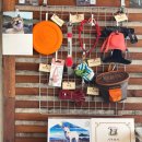 주식회사 제주펫 이미지