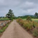 고성리-6 이미지