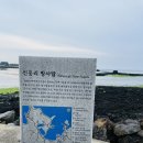 신흥리방사탑 1호 이미지