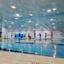 팀식스아쿠아키즈 이미지