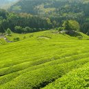 2012년 한성대학교 디자인평생교육원 명상자연치유 봄학기 학생모집(현재 90%등록) 이미지