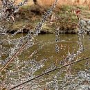 다시 봄 이미지