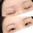 눈썹대장 이미지