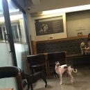 봉 동물병원 이미지