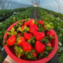 우 드림농장 이미지