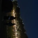 산성태권도체육관 이미지