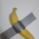 바나나 작품 이미지