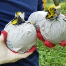 버팀목농원 이미지