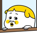 영월시네마 앞 이미지