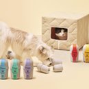 (주)펫투데이 이미지