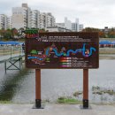 메디칼바움 이미지