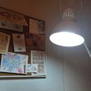 라르고 | [홍대/공방] 홍대 반지공방 무드라르고 후기