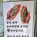반햇닭 이미지
