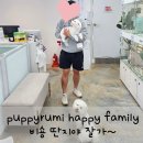 퍼피루미 이미지