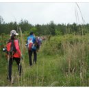 오름행정사무소 이미지