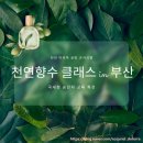 조향 공예 디자이너 | 천안 아로마 공방 코지시엘 천안도테라 부산 천연 향수 특강 클래스 후기