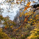 흘림골&amp;주전골 단풍 이미지