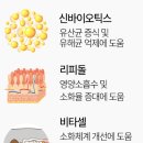 우리애동물병원 | 닥터힐메딕스 고양이 간식 가수분해 투약 보조제 기호성