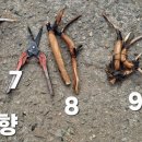 미미향 - 포천시 화동로 2061-1 | 미미향