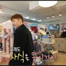그레이닝 킨더가든 이미지