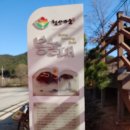2019 양산팔경 금강 둘레길 걷기