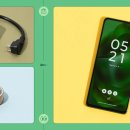 Korean Top Team DOWN GYM 이미지