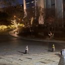 포레스트G1 이미지