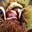 신선팜스 이미지