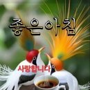 행복한아침 Daum카페