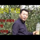 괴산연풍EM사과