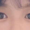 로코네로 이미지